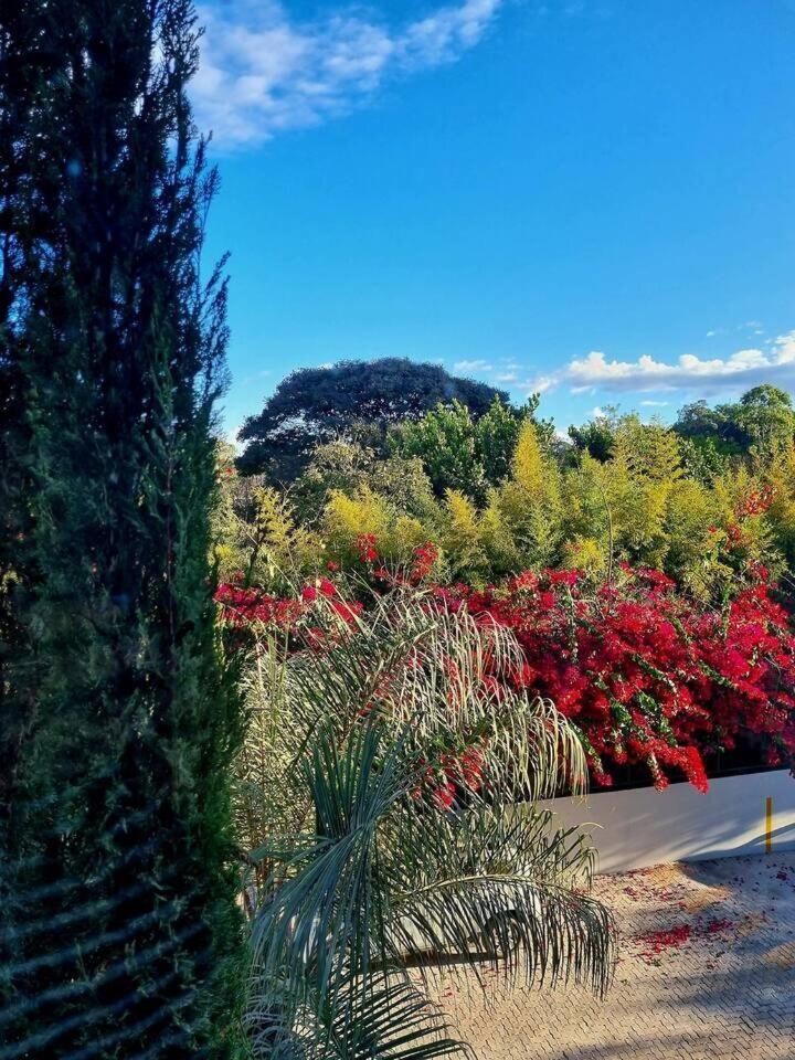 Mirante Park Brasilia